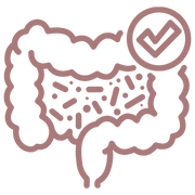 Detox and Gut Health Detox and Gut Health